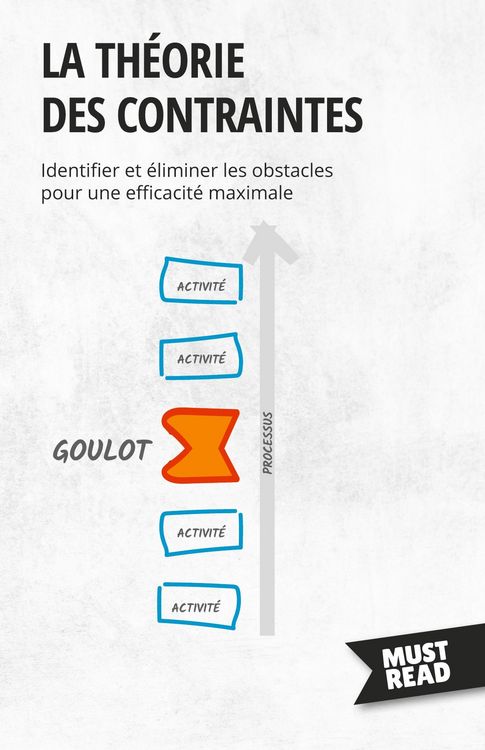 Produktbild: La th&eacute;orie des contraintes