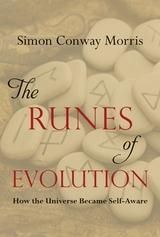 Produktbild: The Runes of Evolution : How the Universe became Self-Aware