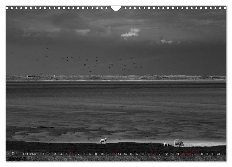 Produktbild: 54&deg;54'57"N 8&deg;19'51"E SYLT (Wandkalender 2026 DIN A3 quer), CALVENDO Monatskalender
