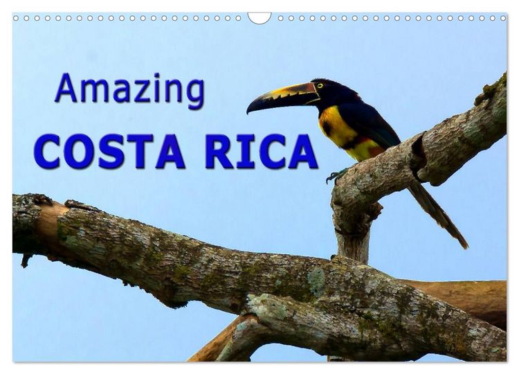 Produktbild: Amazing Costa Rica (Wall Calendar 2026 DIN A3 landscape), CALVENDO 12 Month Wall Calendar