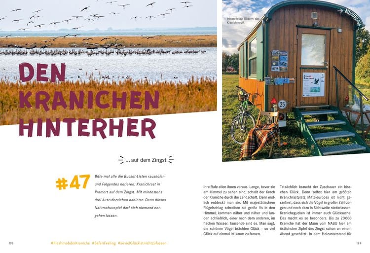 Produktbild: 52 kleine & gro&szlig;e Eskapaden in Mecklenburg-Vorpommern an der Ostsee