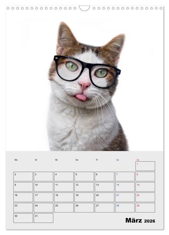 Produktbild: Crazy Catz. (Wandkalender 2026 DIN A3 hoch), CALVENDO Monatskalender