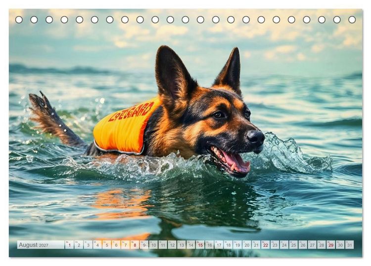 Produktbild: Sch&auml;ferhund 24/7 - Keine Pause f&uuml;r echte Helden (Tischkalender 2027 DIN A5 quer), CALVENDO Monatskalender