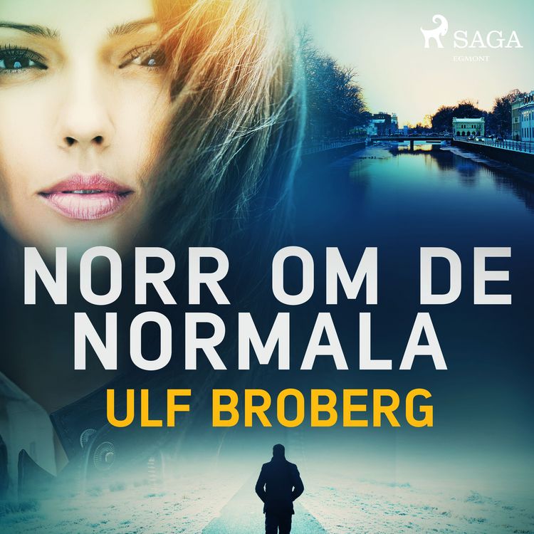 Produktbild: Norr om de normala