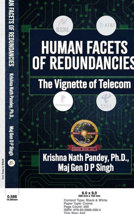 Produktbild: Human Facets of Redundancies