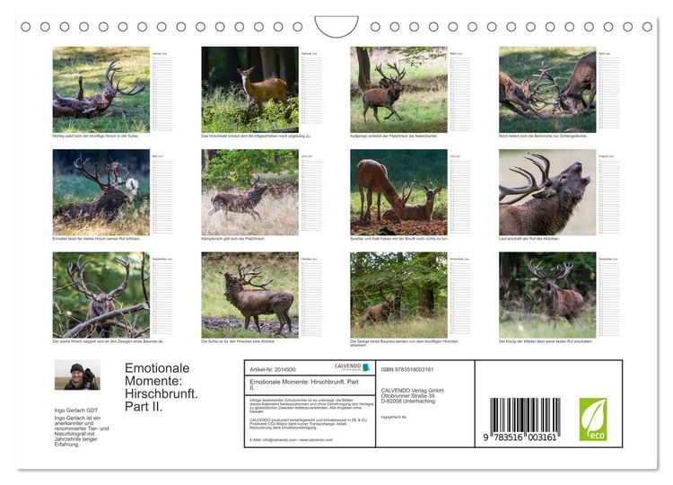 Produktbild: Emotionale Momente: Hirschbrunft. Part II. (Wandkalender 2026 DIN A4 quer), CALVENDO Monatskalender