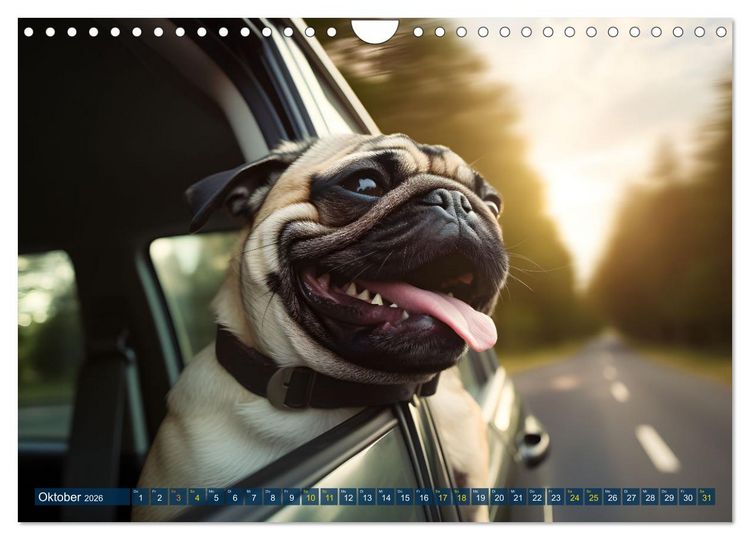Produktbild: Lustige Mops-Hunde: Die charmanten Meister von Chaos und Unfug (Wandkalender 2026 DIN A4 quer), CALVENDO Monatskalender