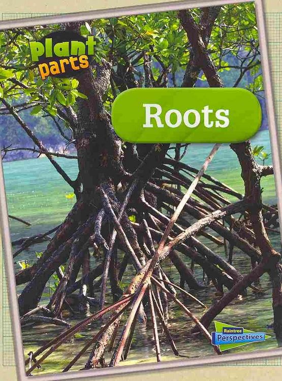 Produktbild: ROOTS