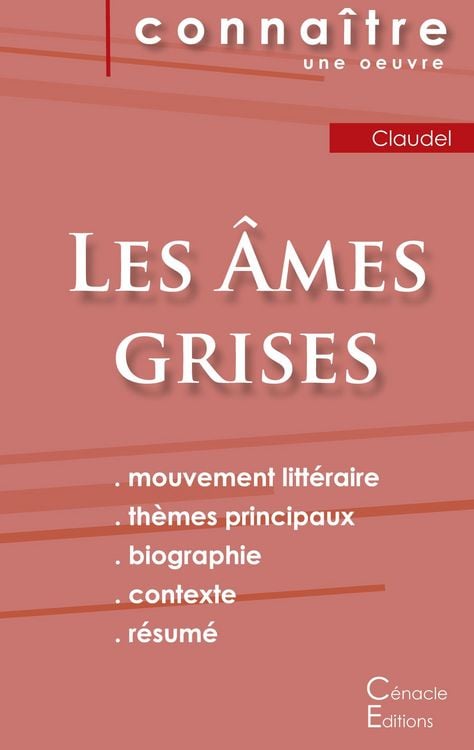 Produktbild: Fiche de lecture Les &Acirc;mes grises de Claudel (Analyse litt&eacute;raire de r&eacute;f&eacute;rence et r&eacute;sum&eacute; complet)