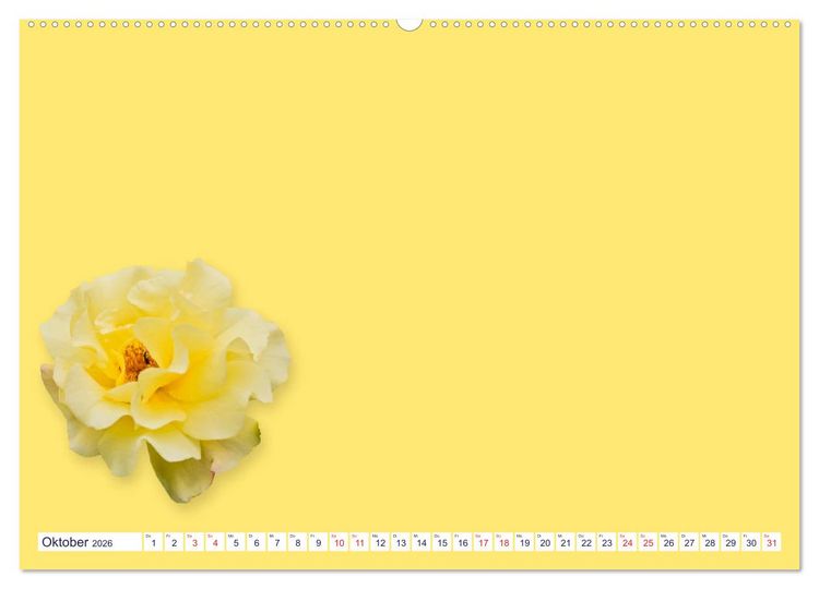 Produktbild: DIY POESIE - BASTELKALENDER (hochwertiger Premium Wandkalender 2026 DIN A2 quer), Kunstdruck in Hochglanz