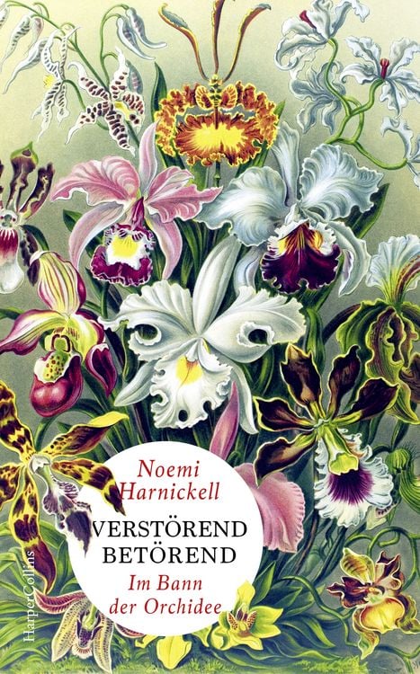 Produktbild: Verstörend betörend – Im Bann der Orchidee