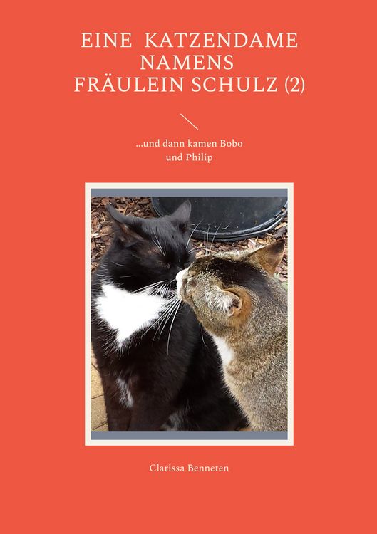 Produktbild: Eine Katzendame namens Fr&auml;ulein Schulz (2)