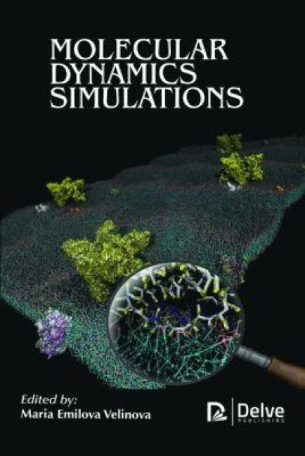 Produktbild: Molecular Dynamics Simulations