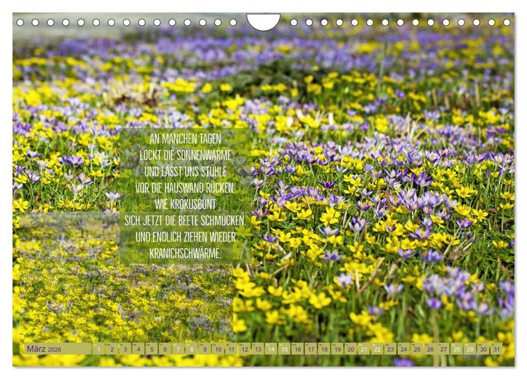Produktbild: Stimmungsreigen Gef&uuml;hlvolle Texte und Bilder (Wandkalender 2026 DIN A4 quer), CALVENDO Monatskalender