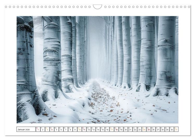 Produktbild: Mystische Wege (Wandkalender 2026 DIN A3 quer), CALVENDO Monatskalender