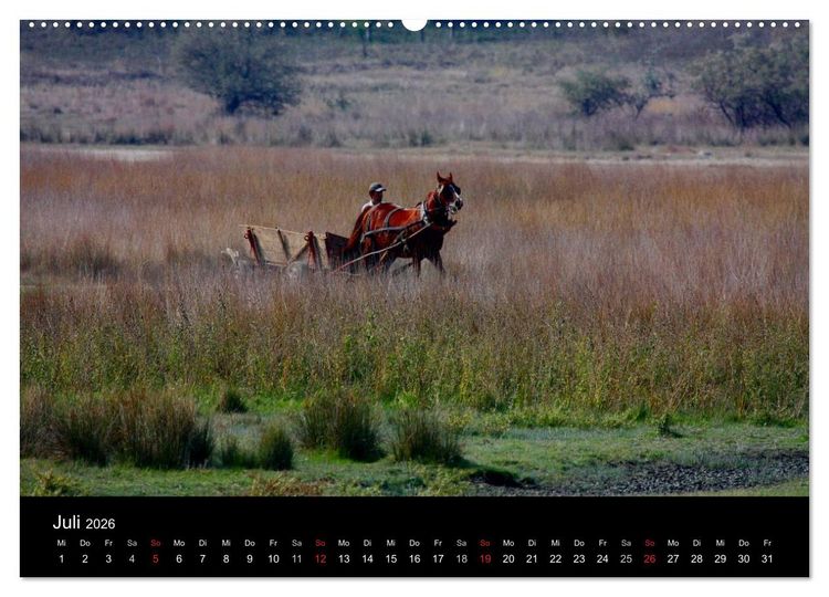 Produktbild: Donaudelta (Wandkalender 2026 DIN A2 quer), CALVENDO Monatskalender
