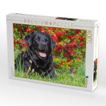 Produktbild: CALVENDO Puzzle Ein wundersch&ouml;nes M&auml;dchen | 1000 Teile Lege-Gr&ouml;&szlig;e 64x48cm Foto-Puzzle f&uuml;r gl&uuml;ckliche Stunden