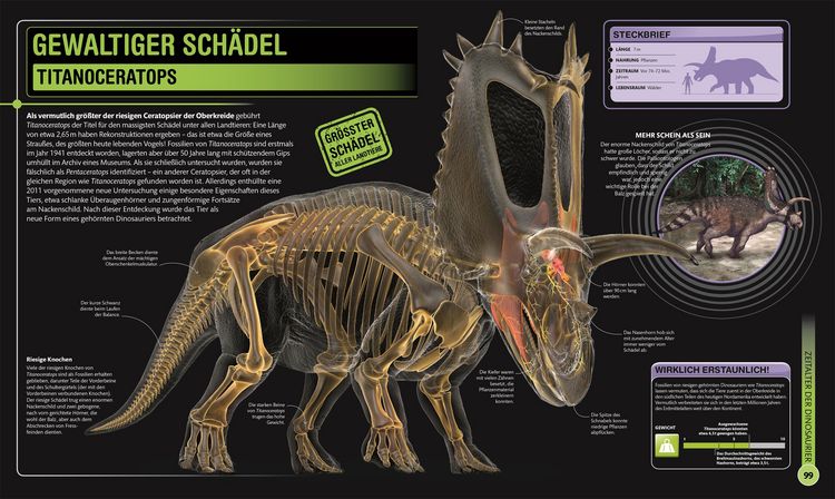 Produktbild: Super-Dinos