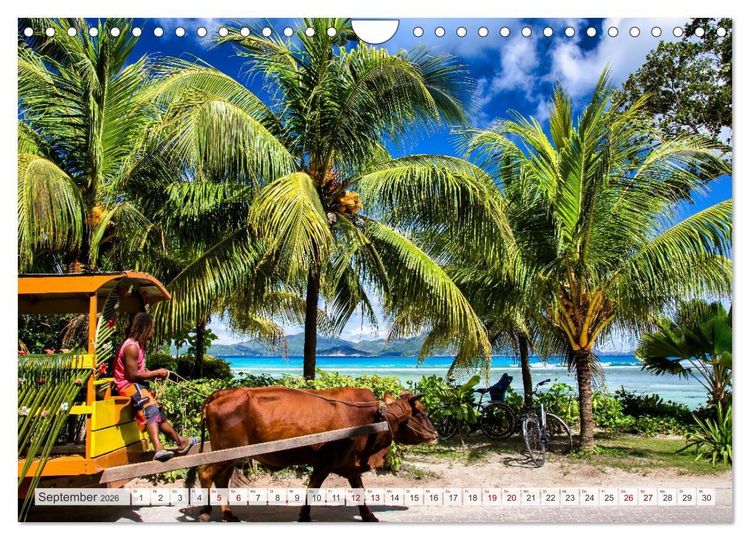Produktbild: Die Seychellen - ganz nah am Paradies (Wandkalender 2026 DIN A4 quer), CALVENDO Monatskalender