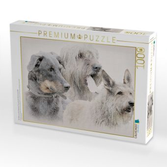 Produktbild: Ein Motiv aus dem Kalender Franz&ouml;sische Hirtenhunde 2017 (Puzzle)