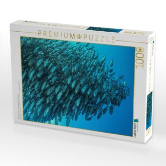 Produktbild: CALVENDO Puzzle Makrelenschwarm - Balicasag Island (Philippinen) | 1000 Teile Lege-Gr&ouml;&szlig;e 64x48cm Foto-Puzzle f&uuml;r gl&uuml;ckliche Stunden