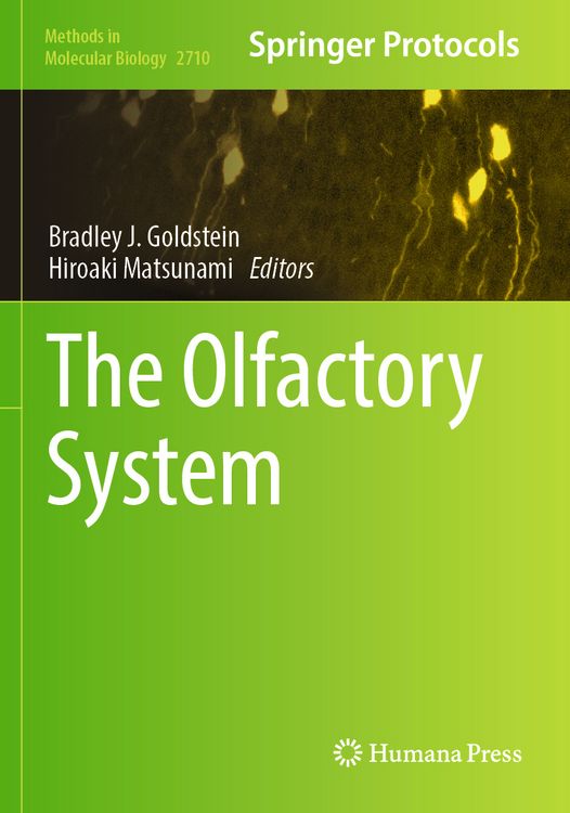 Produktbild: The Olfactory System