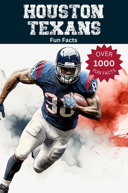 Produktbild: Houston Texans Fun Facts