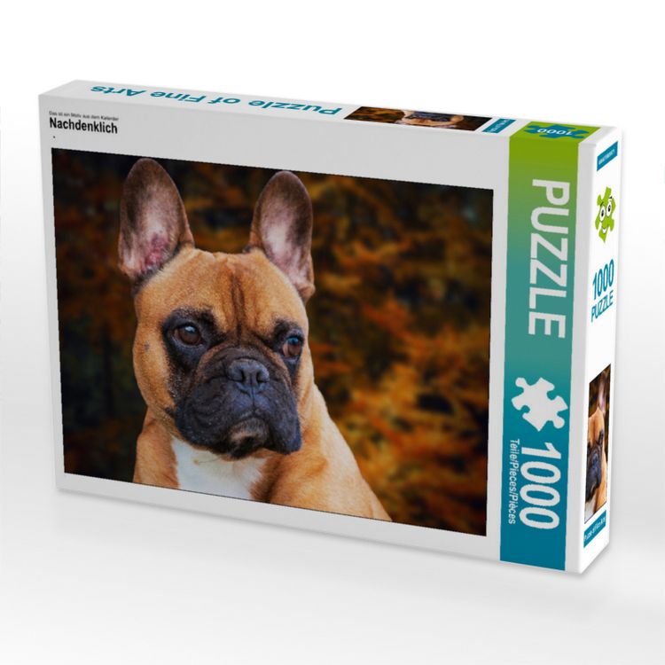 Produktbild: CALVENDO Puzzle Nachdenklich | 1000 Teile Lege-Gr&ouml;&szlig;e 64x48cm Foto-Puzzle f&uuml;r gl&uuml;ckliche Stunden