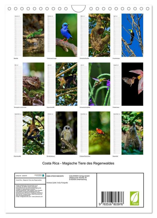 Produktbild: Costa Rica - Magische Tiere des Regenwaldes (Wandkalender 2027 DIN A4 hoch), CALVENDO Monatskalender