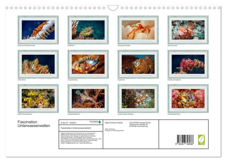 Produktbild: Faszination Unterwasserwelten (Wandkalender 2026 DIN A3 quer), CALVENDO Monatskalender