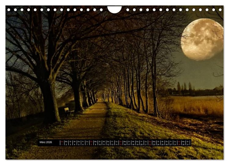 Produktbild: Sehnsucht der Natur (Wandkalender 2026 DIN A4 quer), CALVENDO Monatskalender