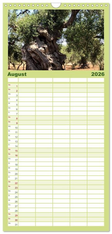 Produktbild: Familienplaner 2026 - Apuliens Kulturlandschaft mit 5 Spalten (Wandkalender, 21 x 45 cm) CALVENDO