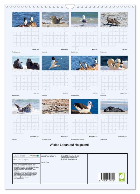 Produktbild: Wildes Leben auf Helgoland (Wandkalender 2026 DIN A3 hoch), CALVENDO Monatskalender