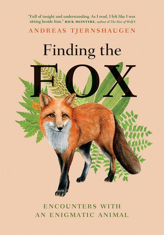 Produktbild: Finding the Fox