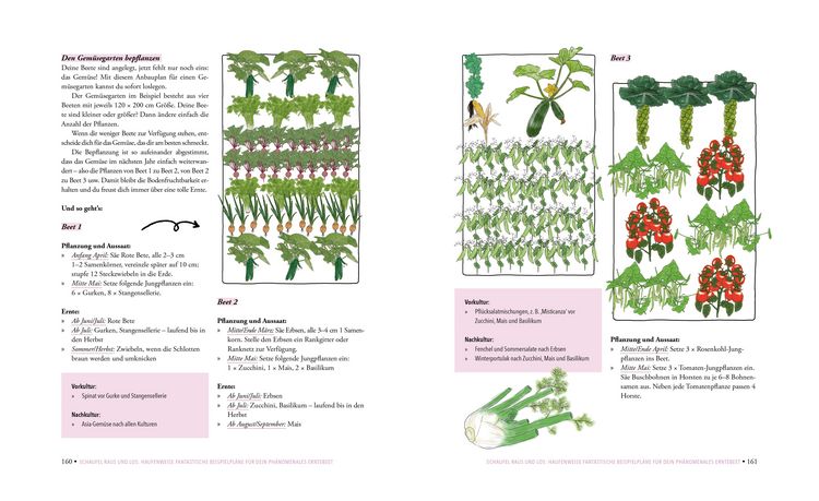 Produktbild: Das ph&auml;nomenale Erntebeet