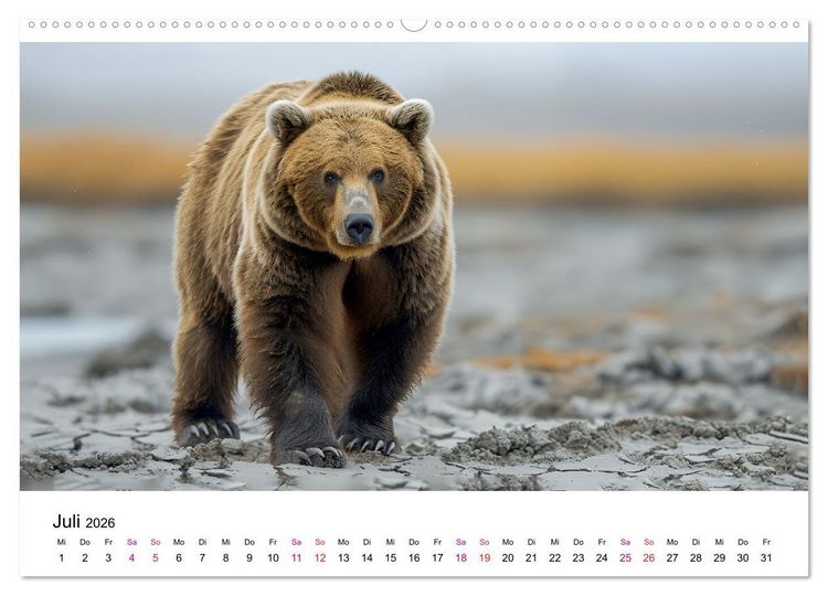 Produktbild: B&auml;ren - gef&auml;hrlich nett (Wandkalender 2026 DIN A2 quer), CALVENDO Monatskalender