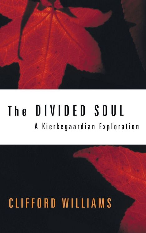 Produktbild: The Divided Soul