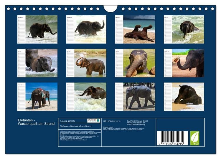 Produktbild: Elefanten - Wasserspa&szlig; am Strand (Wandkalender 2026 DIN A4 quer), CALVENDO Monatskalender