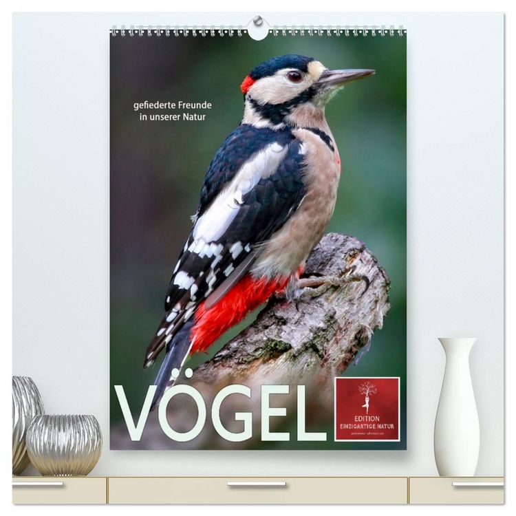 Produktbild: V&ouml;gel - gefiederte Freunde in unserer Natur (hochwertiger Premium Wandkalender 2026 DIN A2 hoch), Kunstdruck in Hochglanz