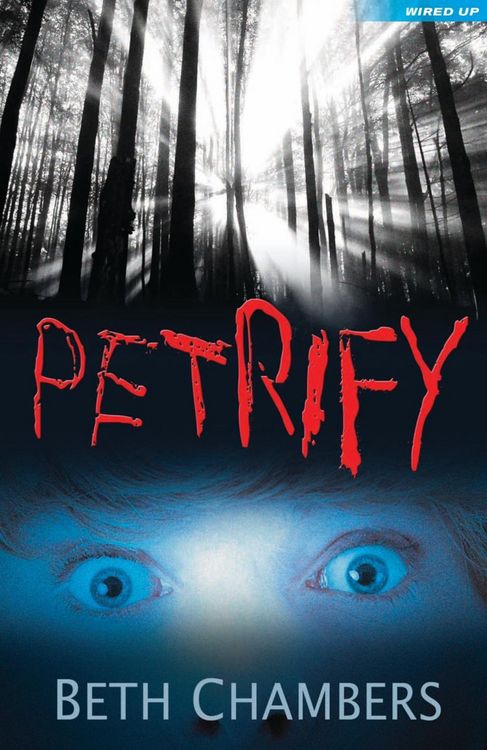 Produktbild: Petrify