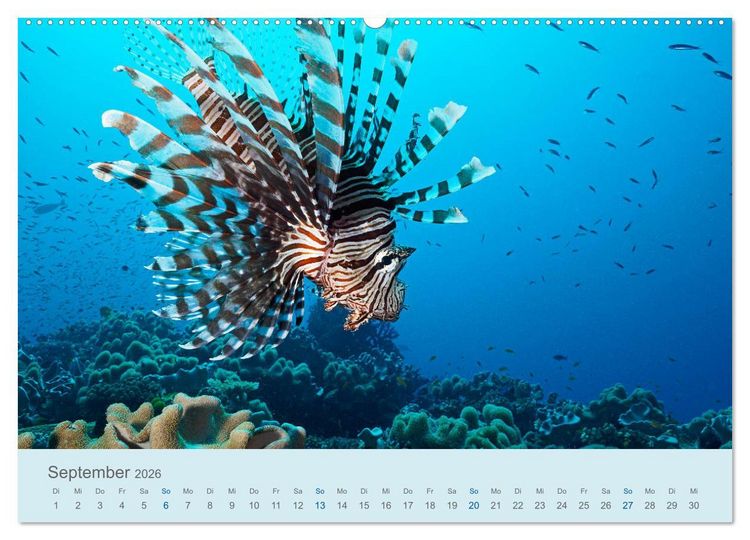 Produktbild: Abenteuer Unterwasser (Wandkalender 2026 DIN A2 quer), CALVENDO Monatskalender