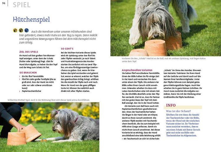 Produktbild: Spiele und Action f&uuml;r ausgeglichene H&uuml;tehunde