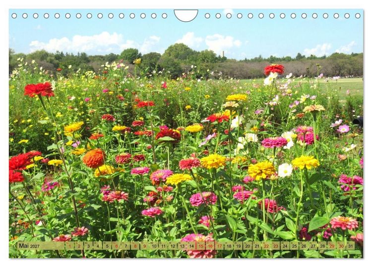 Produktbild: Die Natur Japans (Wandkalender 2027 DIN A4 quer), CALVENDO Monatskalender