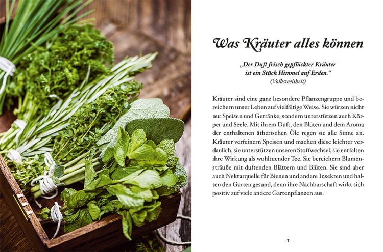 Produktbild: Das kleine Buch: Genusskr&auml;uter