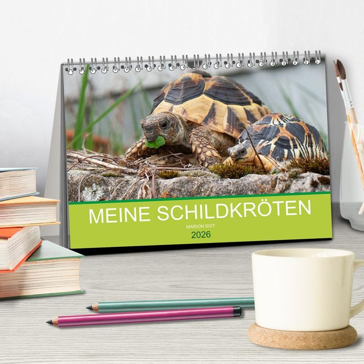 Produktbild: Meine Schildkr&ouml;ten (Tischkalender 2026 DIN A5 quer), CALVENDO Monatskalender