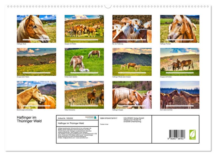 Produktbild: Haflinger im Th&uuml;ringer Wald (hochwertiger Premium Wandkalender 2026 DIN A2 quer), Kunstdruck in Hochglanz