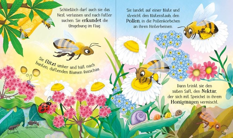 Produktbild: Schau mal, wie ich wachse! Von der Larve zur Biene