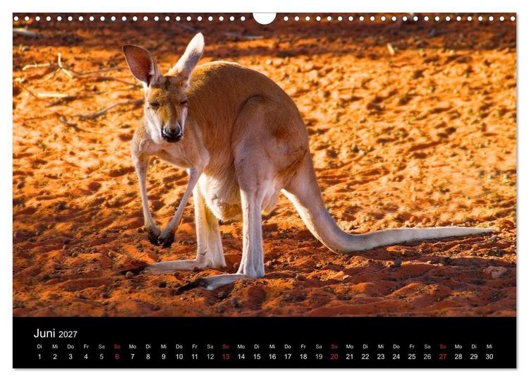 Produktbild: Australien (Wandkalender 2027 DIN A3 quer), CALVENDO Monatskalender