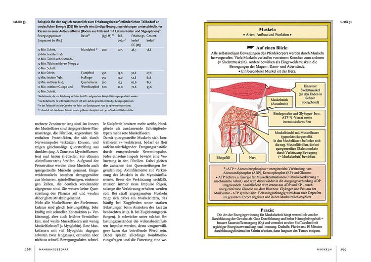 Produktbild: Pferdehaltung und -f&uuml;tterung