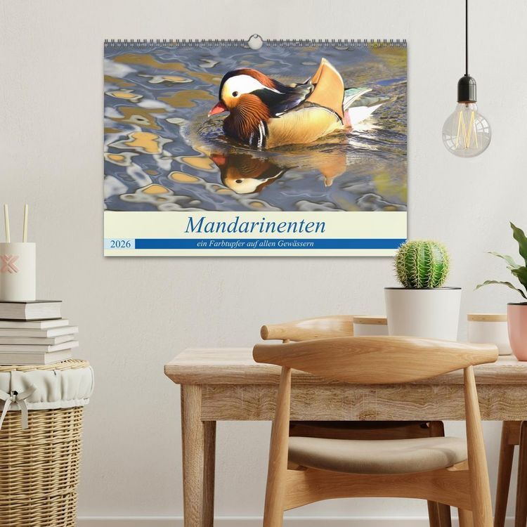 Produktbild: Mandarinenten, ein Farbtupfer auf allen Gew&auml;ssern. (Wandkalender 2026 DIN A3 quer), CALVENDO Monatskalender